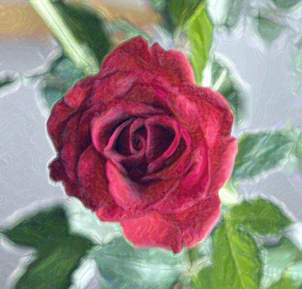 Róża w malarskim ujęciu