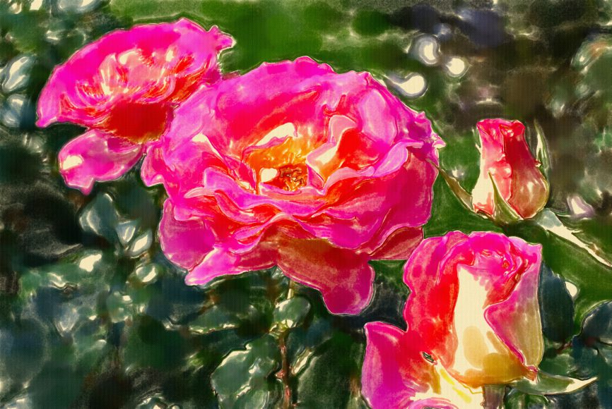 Róże - akwarela