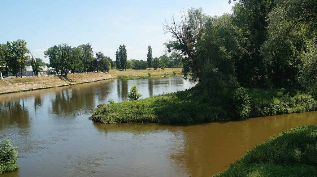 rzeka Odra